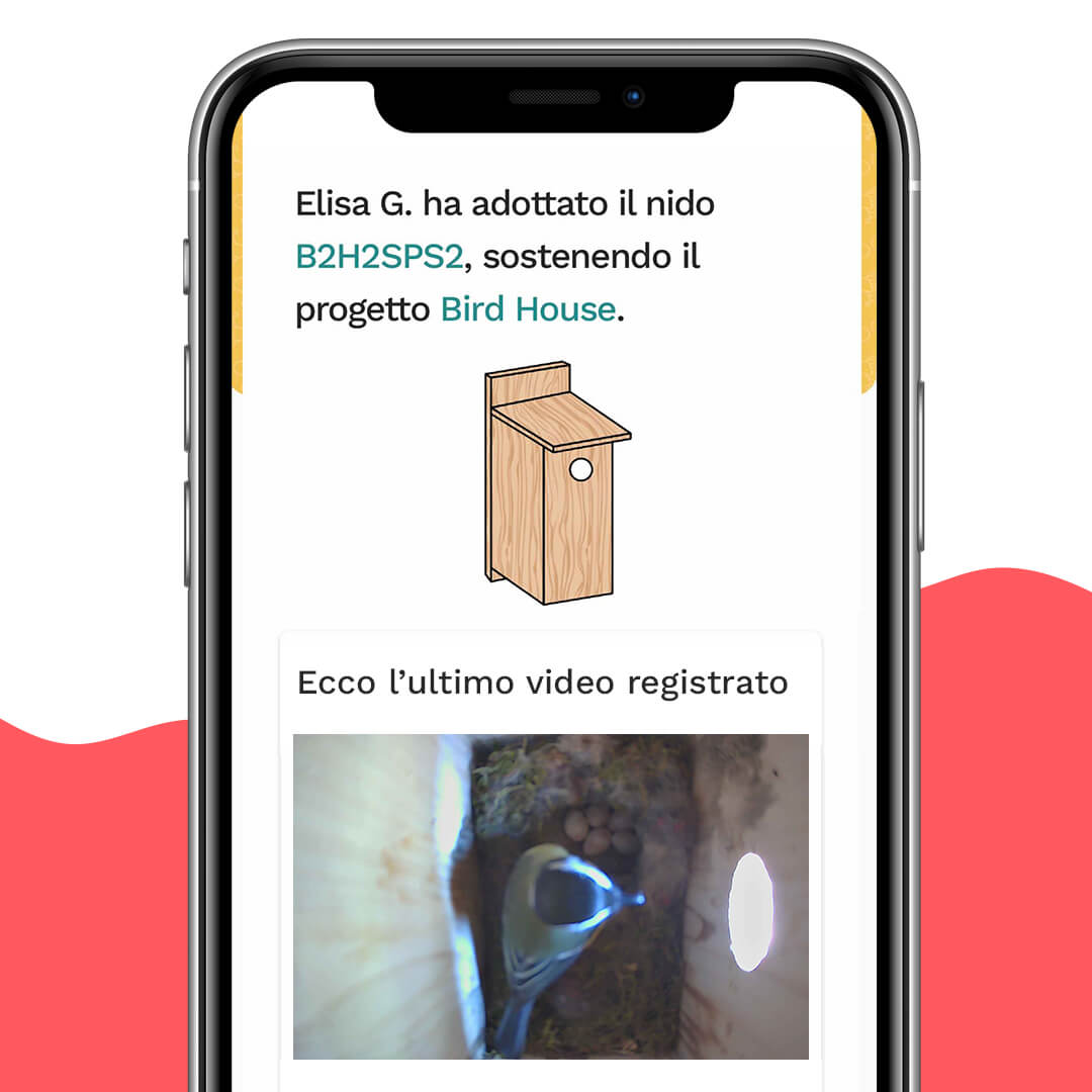Certificato Bird House